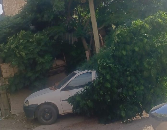 viento