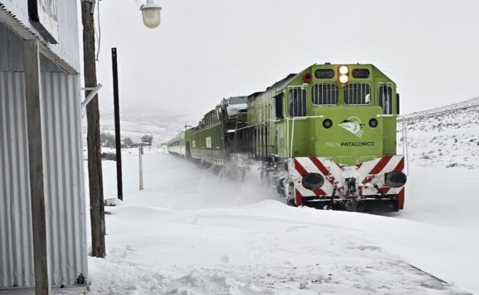 IMG-20260615-WA0008