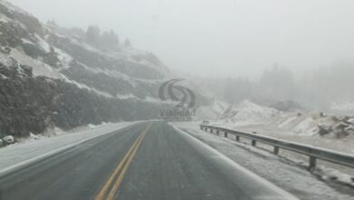 Ruta 237 este mediodía