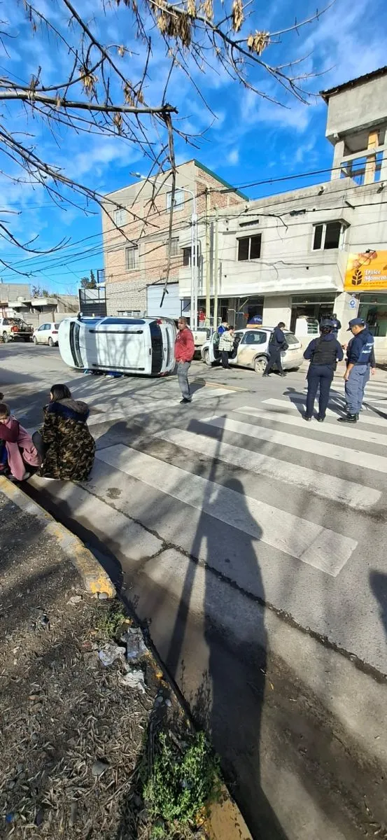 kangoo